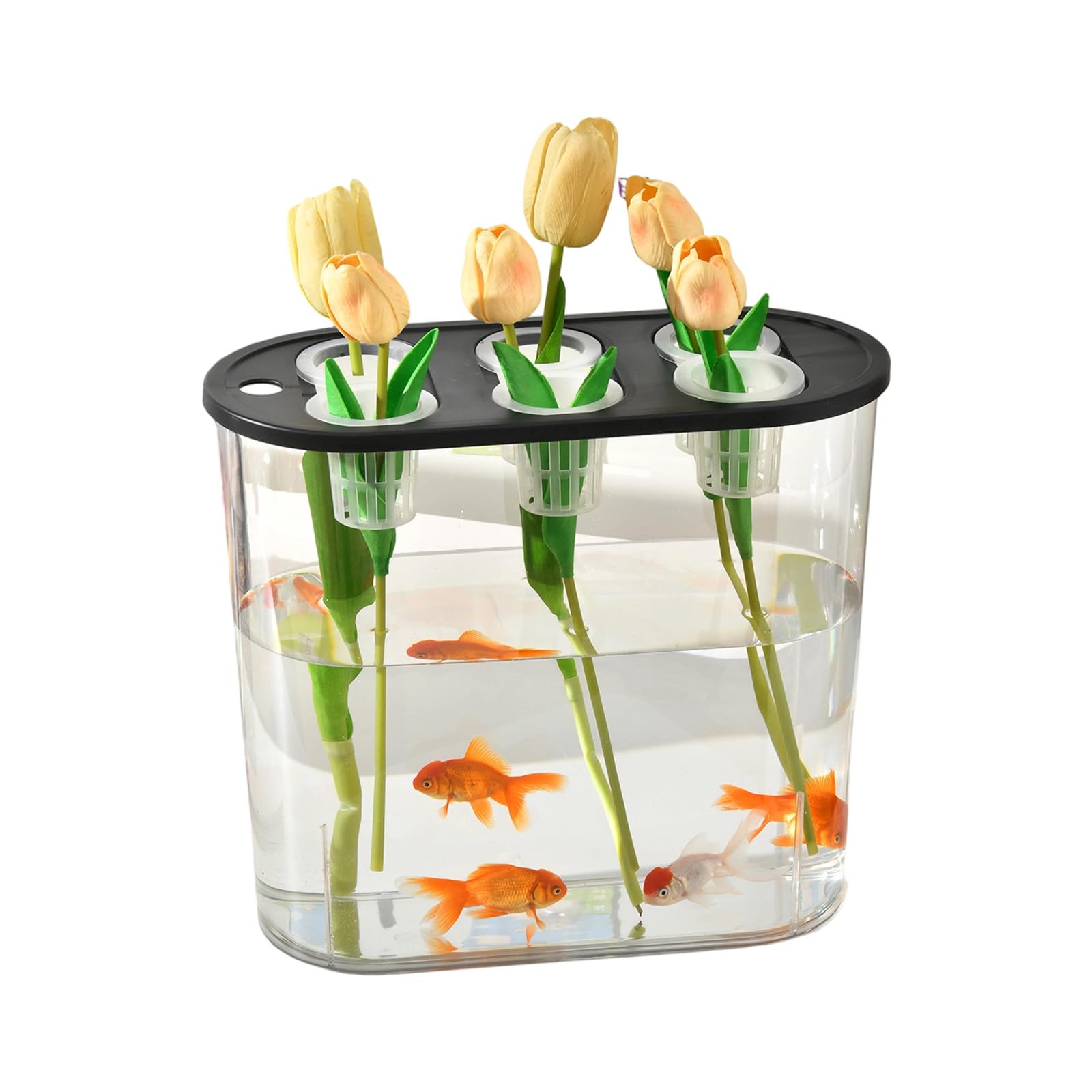 Piceioep Multiple Use Water Culture Box for Hydroponic Tulips Bean Succulents and Various Plant in Homes Gardening Garden Tool