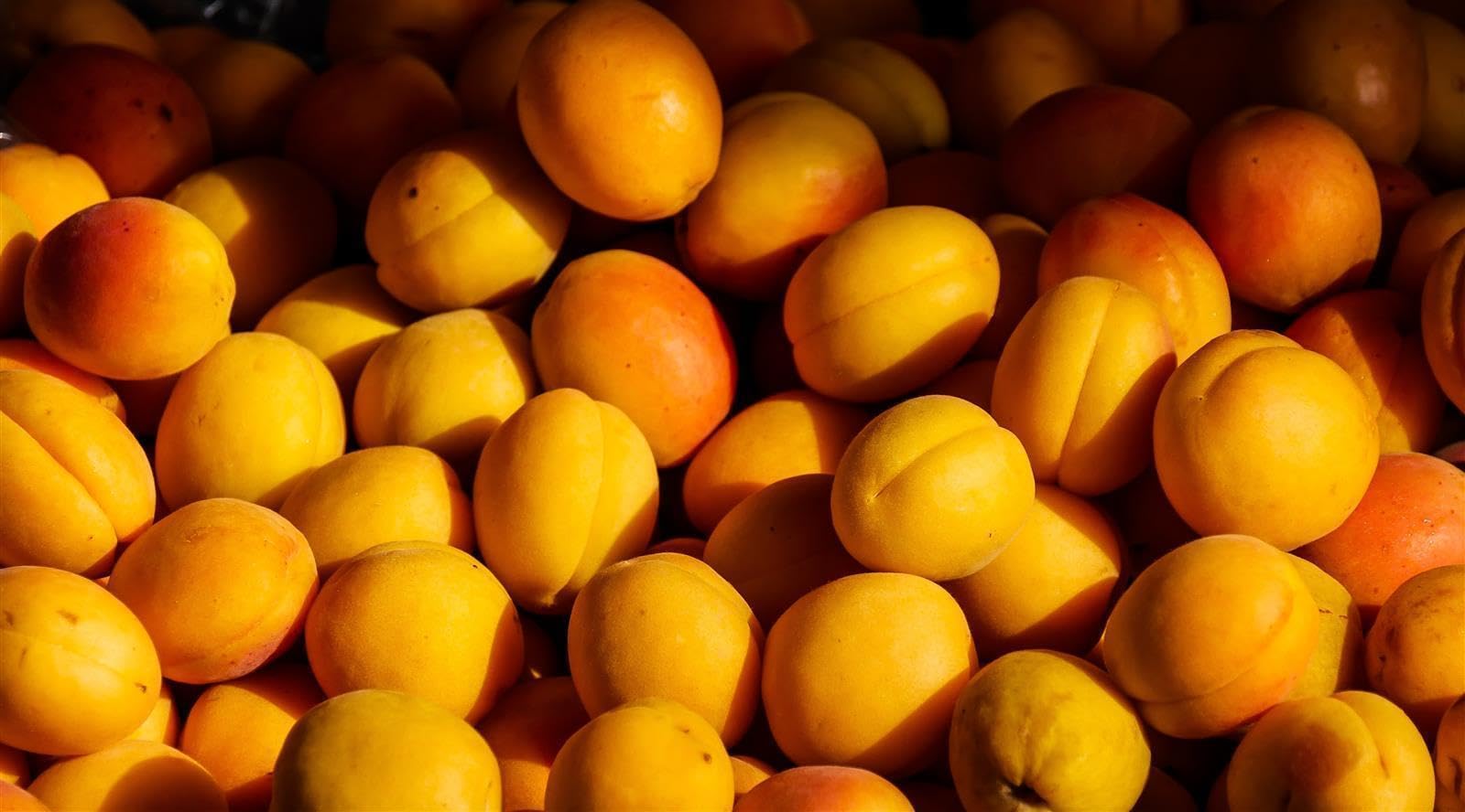 Caramanfruit Aprikosen-Frucht-Püree - 8x 1kg - angenehm süßes französisches Marillen-Püree, frei von Farb- und Konservierungsstoffen, zur Herstellung von Sorbet, Eis, Gelee, Kuchen, als Dessert