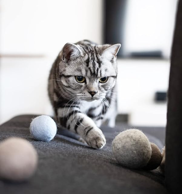 Foto 6 de 7 de LucyBalu® Bolas de fieltro con cascabeles para gatos, juguetes de fieltro y lana, bolas naturales con campana