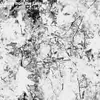 【廃盤3LP】Voices From The Lake / Voices Fro Voices From The Lake – Voices From The Lake – 4 x Vinyl (12