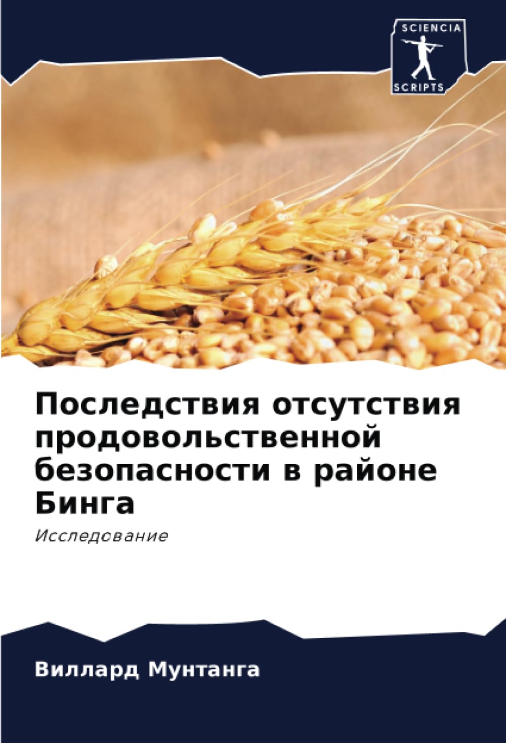 Последствия отсутствия продовольственной безопасности в районе Бинга: Исследование: Issledowanie