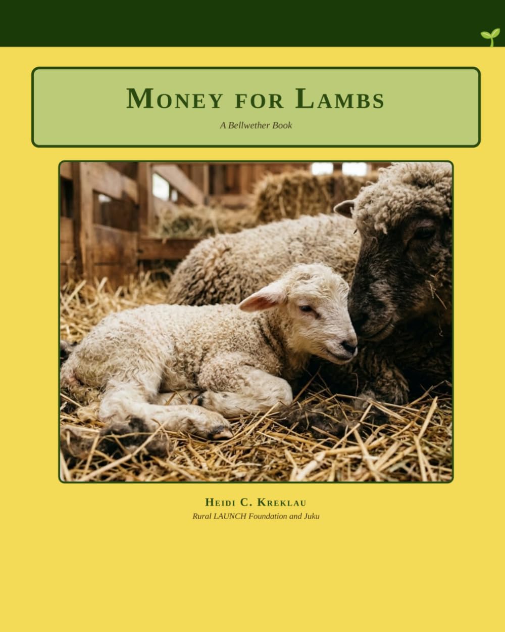 Money For Lambs (Financial Literacy From Preschool to Adulthood)
