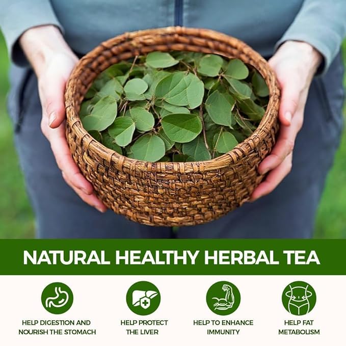 Té de Moringa en Saquitos, 60 Unidades - Puro y Sin Cafeína miniatura 6