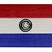 Bandera de Paraguay Emblema Nacional Parche Bordado de Aplicación con Plancha