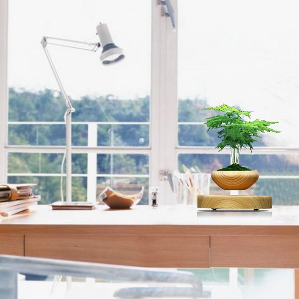 Buy Levitating Plant Floating Plant Pot, TSY Levitating Air Bonsai Pot