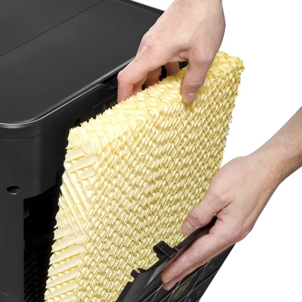 TROTEC Rafraîchisseur d'air et humidificateur PAE 80 Climatiseur sans évacuation à évaporation - Réservoir 60L, Filtre à air, 4 vitesses, mobile, minuteur, télécommande