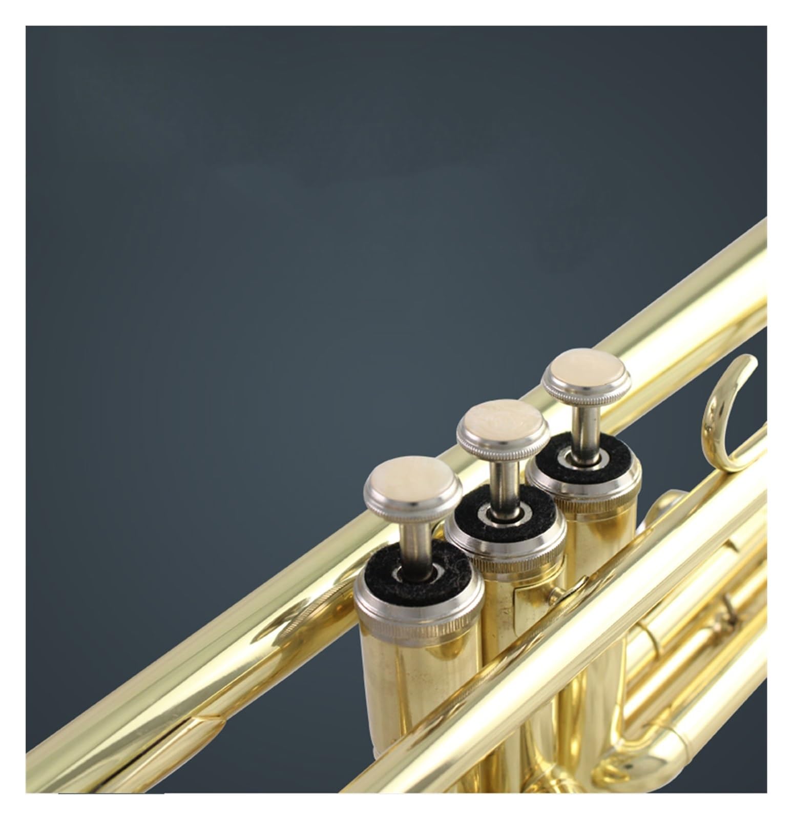 trąbka instrument Trąbka w tonacji B to ogólny instrument trąbkowy do nauki dla początkujących
