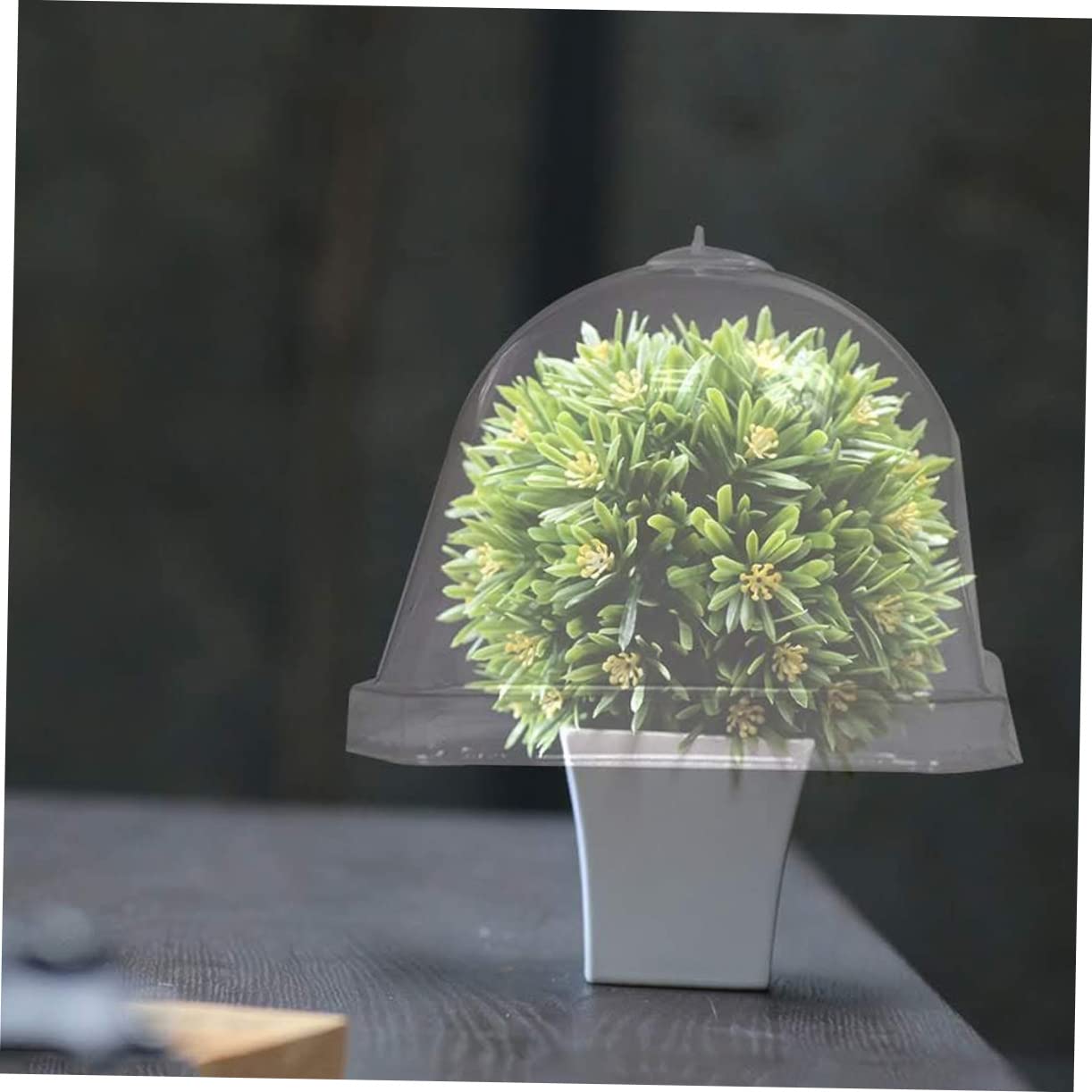 POPETPOP 60 osłonka na sadzonkę doniczkową małe terrarium mała kopuła klosza ogrodowego błyszczyk mały plastikowy pojemnik klosz z tworzywa sztucznego mini zakład