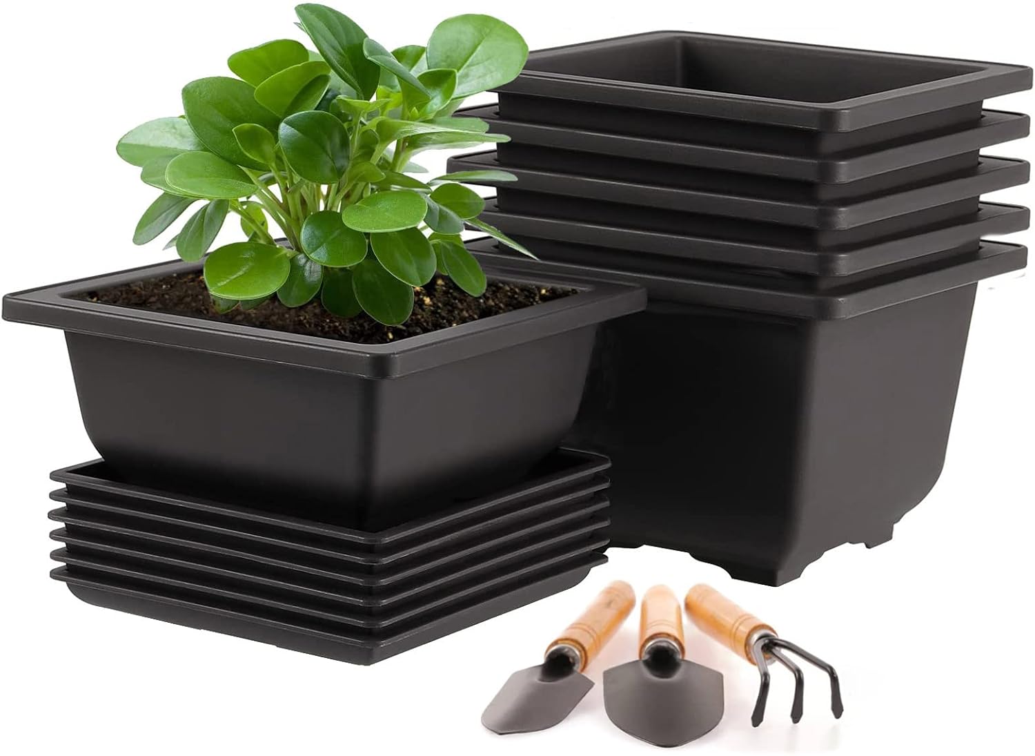 ETUCYNG 6 Stück Lotusschalen Pflanzgefäße - Hydrokultur Ohne Abfluss Für Sukkulenten