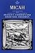 Micah (The Anchor Yale Bible Commentaries)