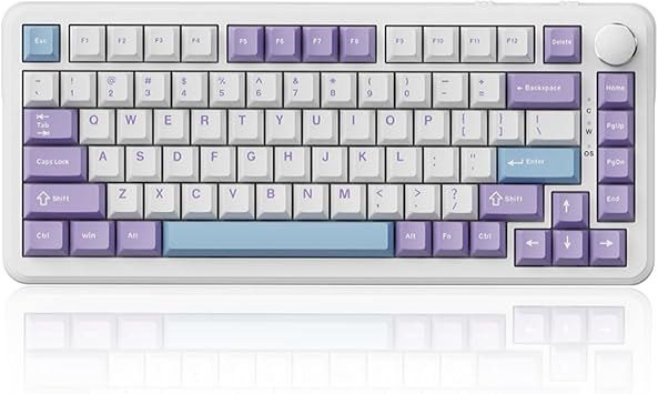 AJAZZ AK820 HE Wired 75% Gaming Keyboard, Hall Effect Magnetic Switch with Rapid Trigger, 8KHz Polling Rate, Gasket Mount, PBT Keycaps, RGB Backlit, Metal Volume Knob for PC/Mac, Purple