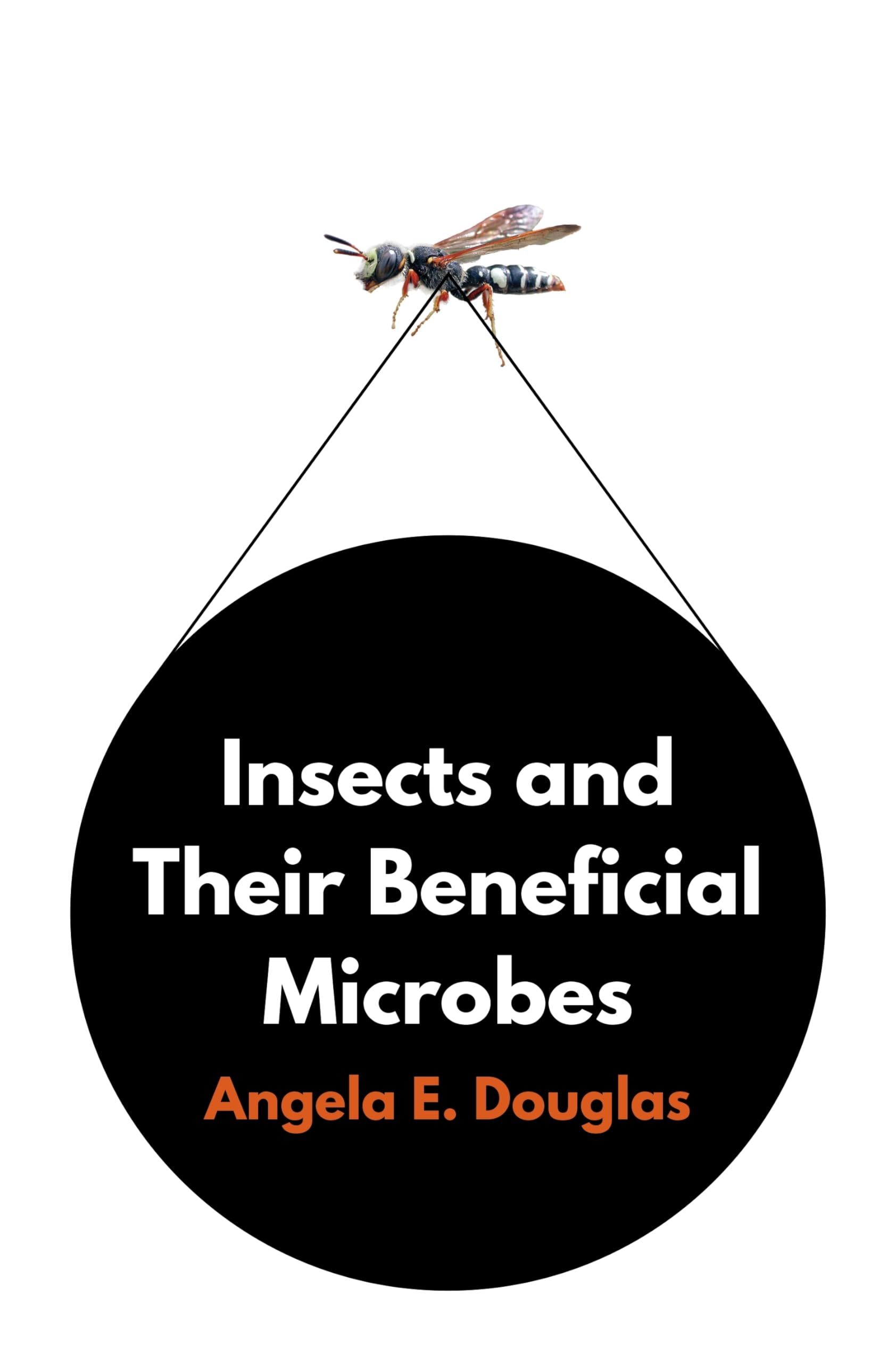 Insects and Their Beneficial Microbes by Angela E. Douglas HARDBACK