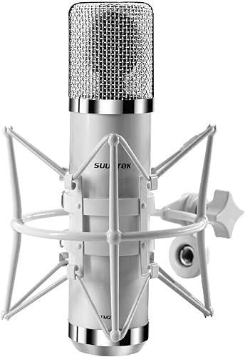 FET Micrófono condensador profesional XLR Micrófono de estudio con diafragma grande de 1.339 in, micrófono de grabación cardioide, computadora para