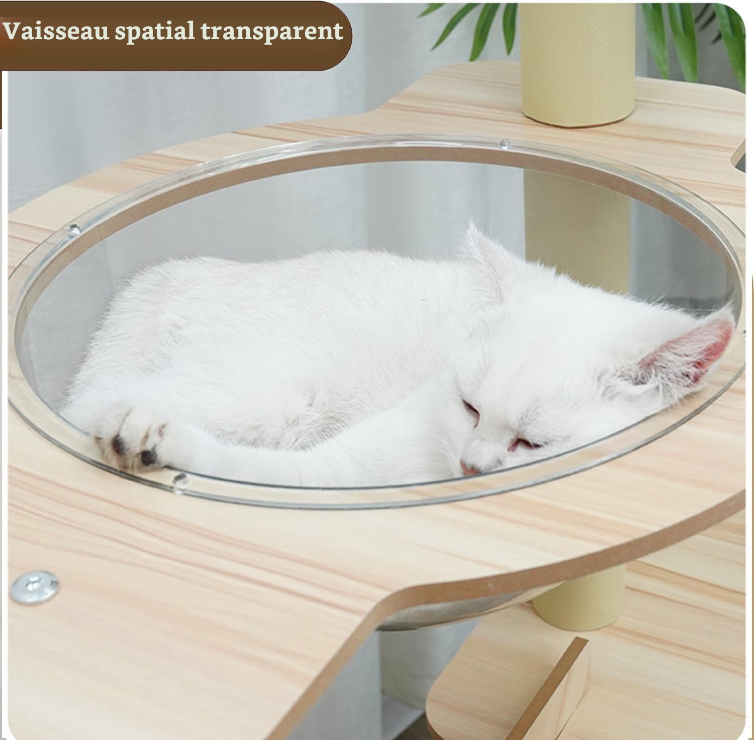 Arbre a chat-165 cm Arbre à Chat XXL,avec Griffoir Chat en Jute,Bol,échelle, Grotte, Balle Suspendue Jouet, Plate,Forme en Peluche,Plate - Forme de Saut en Peluche-Arbre a Chat Haut（Beige）