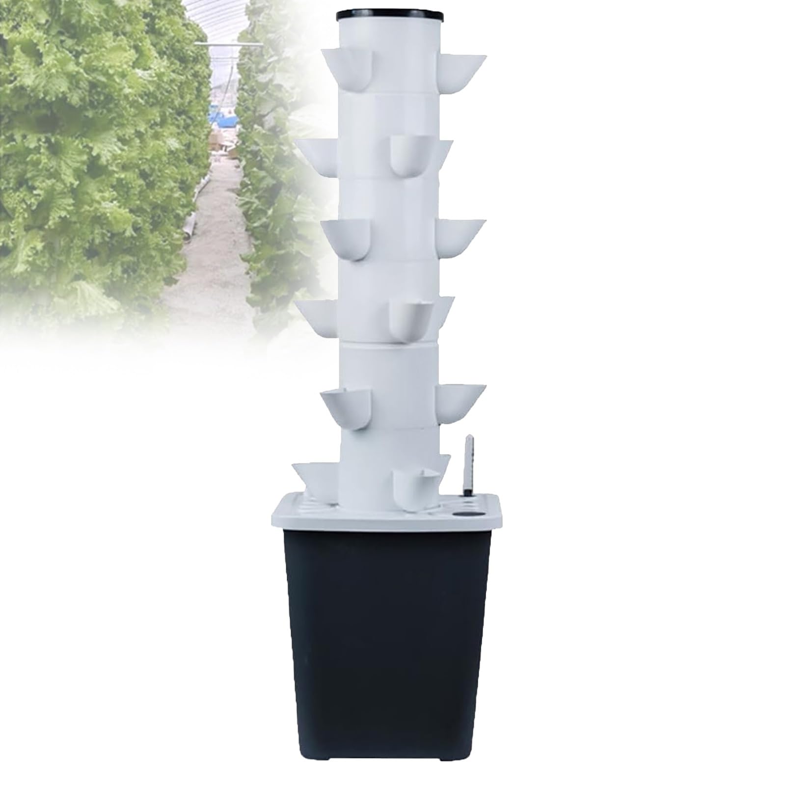 Kit de Sistema de Cultivo Hidropónico Casero Cultive Hierbas y Vegetales con Una Granja de Plantas de Interior Que Cuenta con Un Sistema de Recirculación de Agua y Temporizador Automático.(30holes)