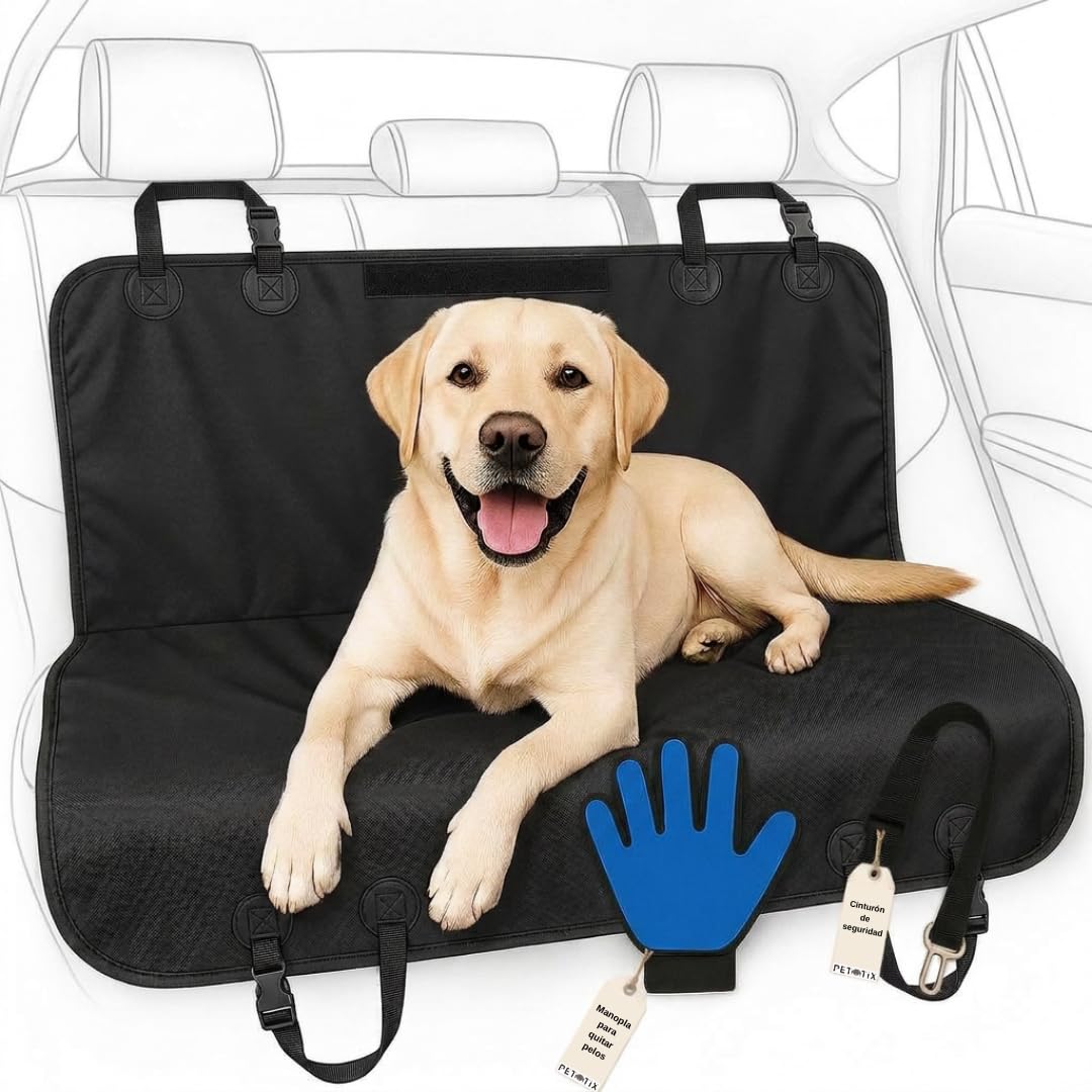 Funda Coche Perro Protector Cinturón de Seguridad y Manopla 144x144