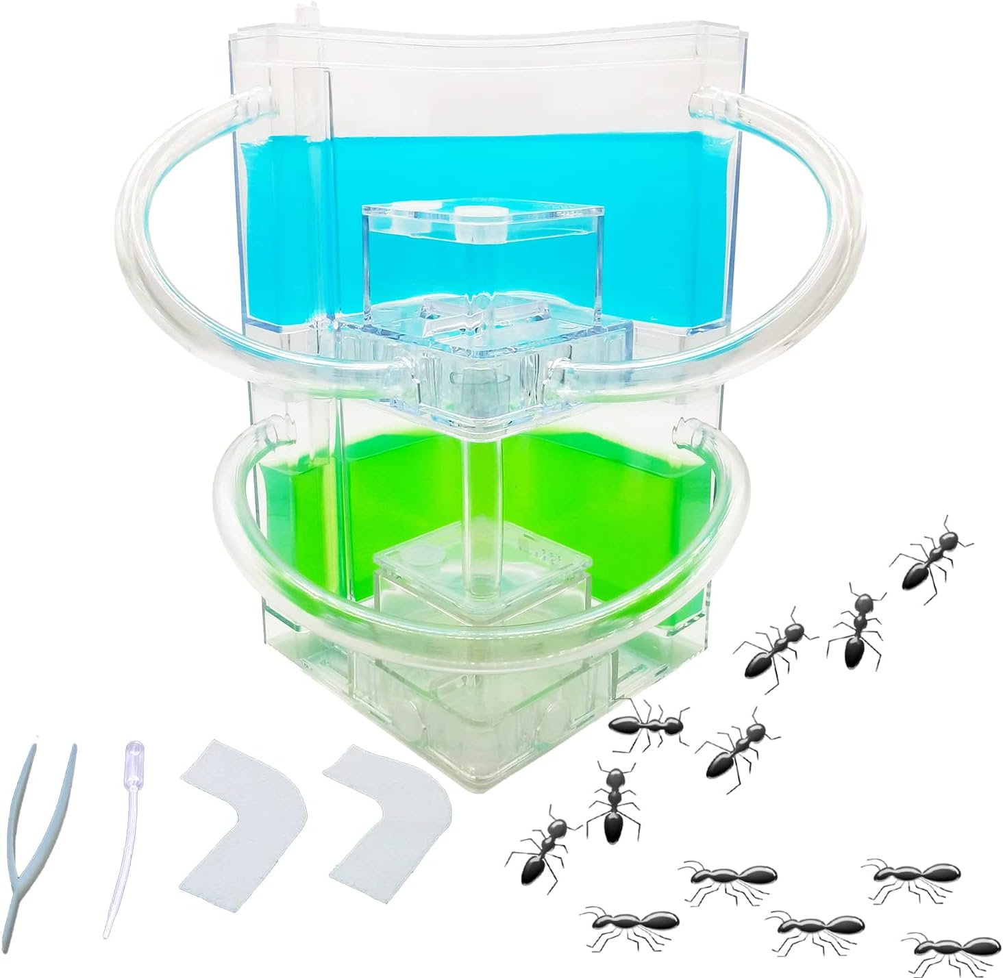 EXBEPE Ant Farm Large 2 Layer Gel Ant Colony Ecosystem Terrarium, Ant Habitat Science Learning Kit(with No Ant)