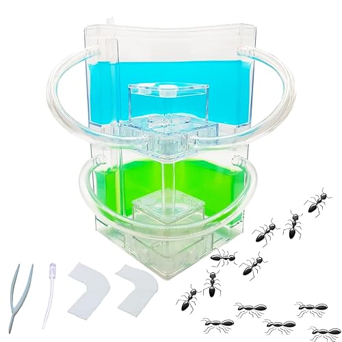Large 2 Layer Gel Ant Colony Ecosystem Terrarium, Ant Habitat