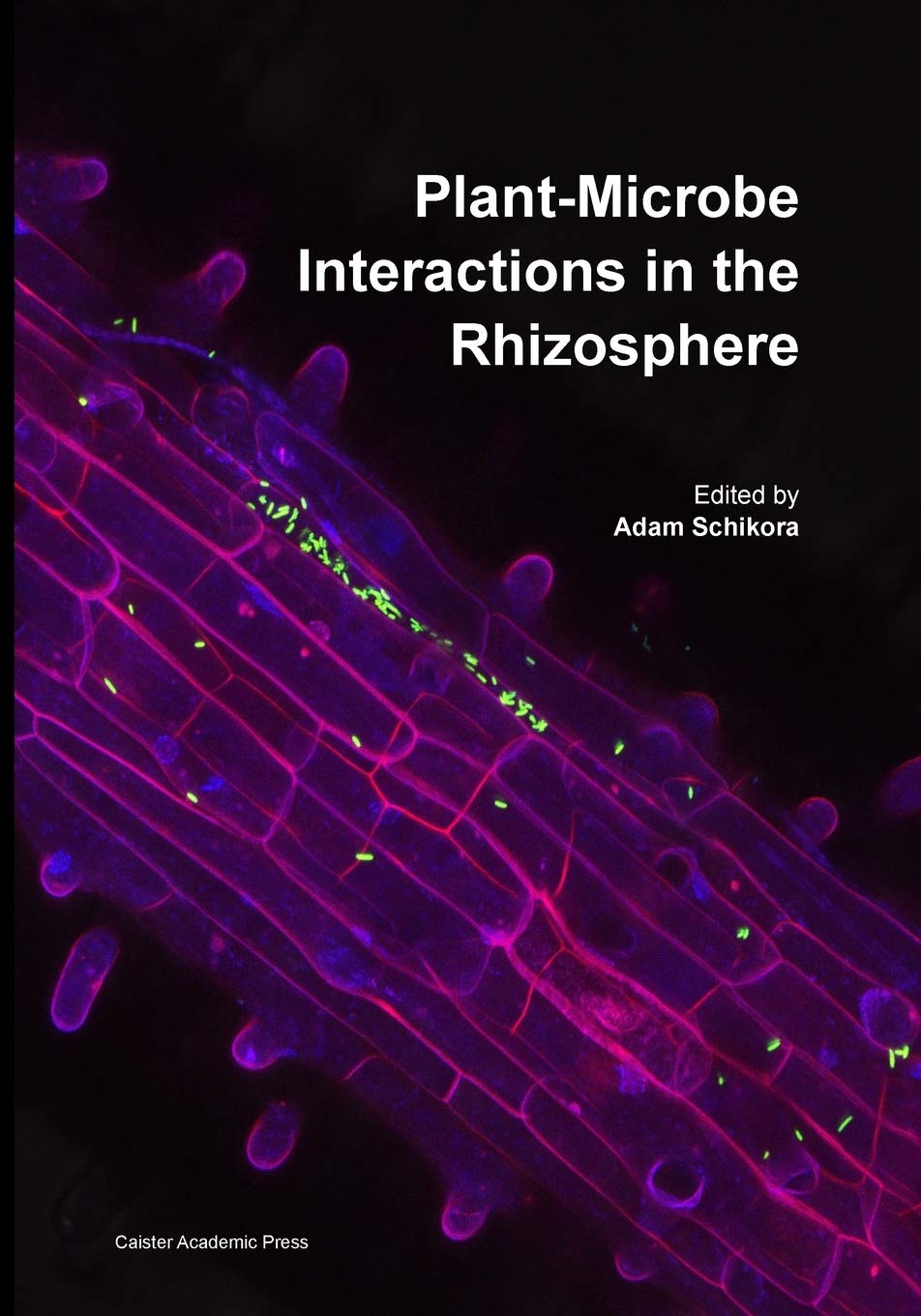 Buy Plant-Microbe Interactions in the Rhizosphere — BookShops.in