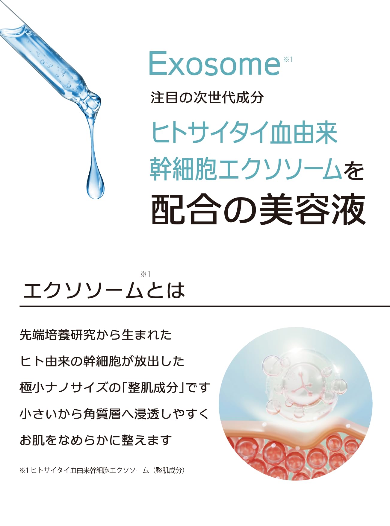 Amazon.co.jp: 美容液 毛穴 ハリ【ヒト幹細胞 エクソソーム レチノール