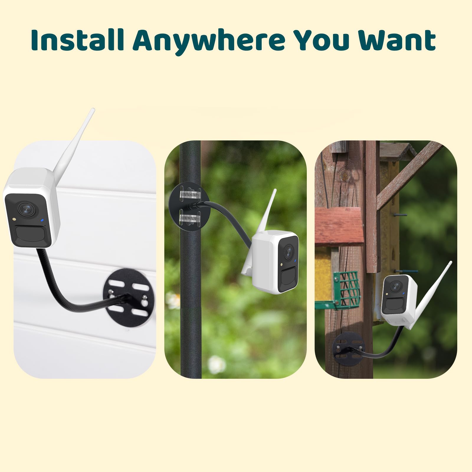 Birdfy intelligente Vogelkamera mit Solar, Verstellbarer Halterung für jeden Winkel, Videoaufzeichnung und App-Benachrichtigungen