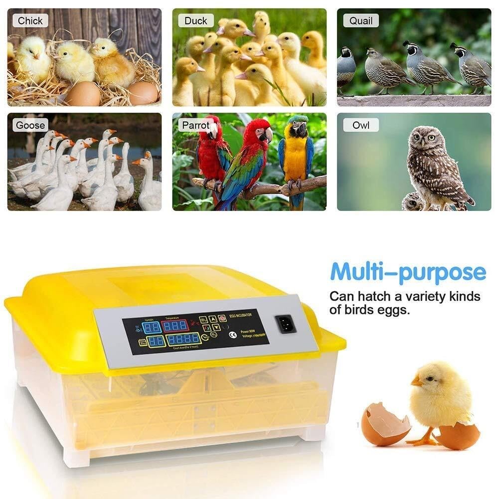 48 Egg Digital Incubator with Automatic Turning, Temperature & Humidity Control, LED Display for Hatching Chickens, Ducks, Geese, and Other Poultry