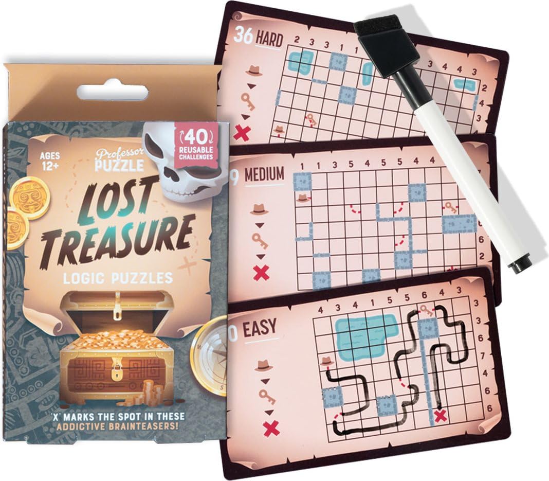 Professor Puzzle Lost Treasure Logic Puzzle Game