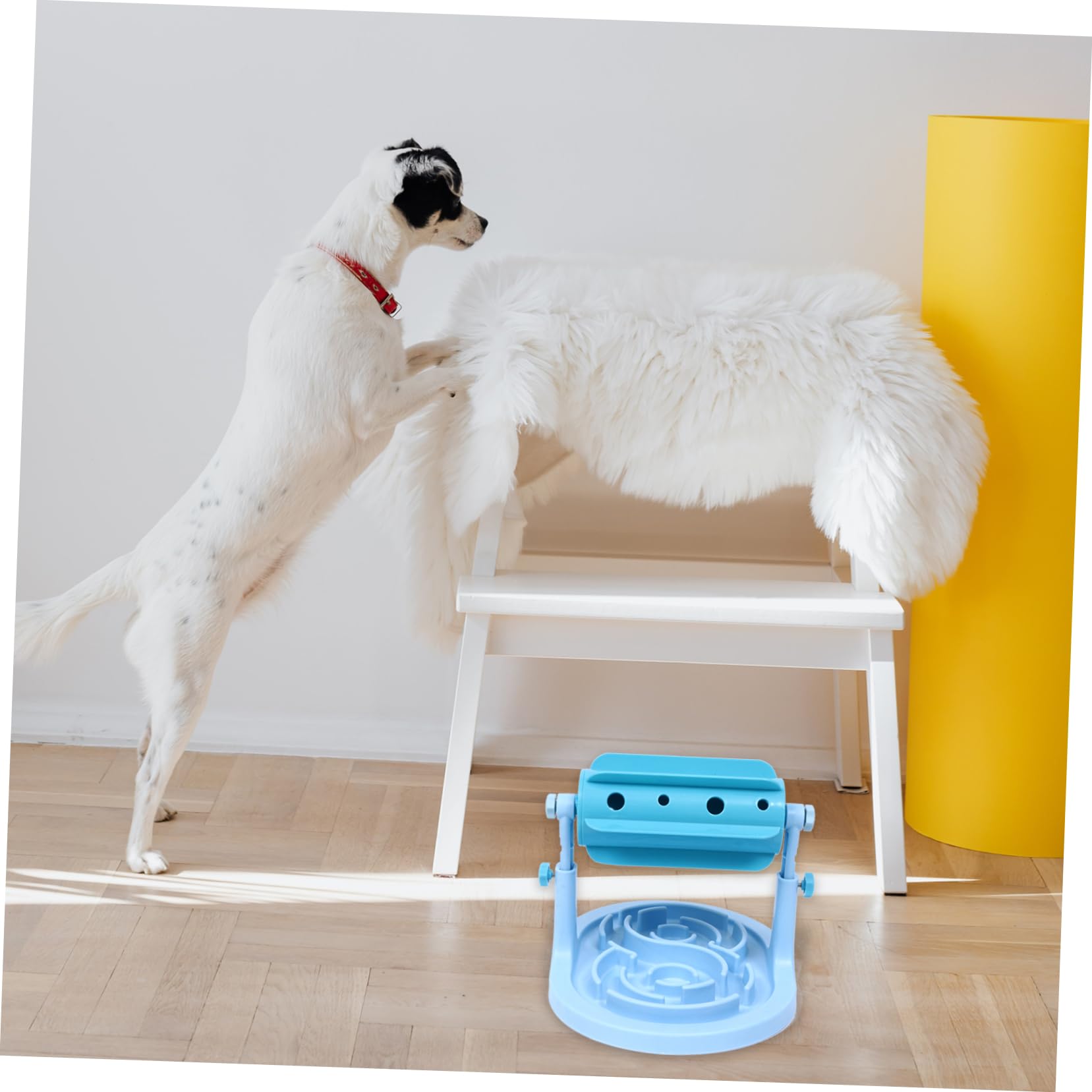 Jouet Nourrisseur à Rouler pour Chiens et Chats, Bleu Abs