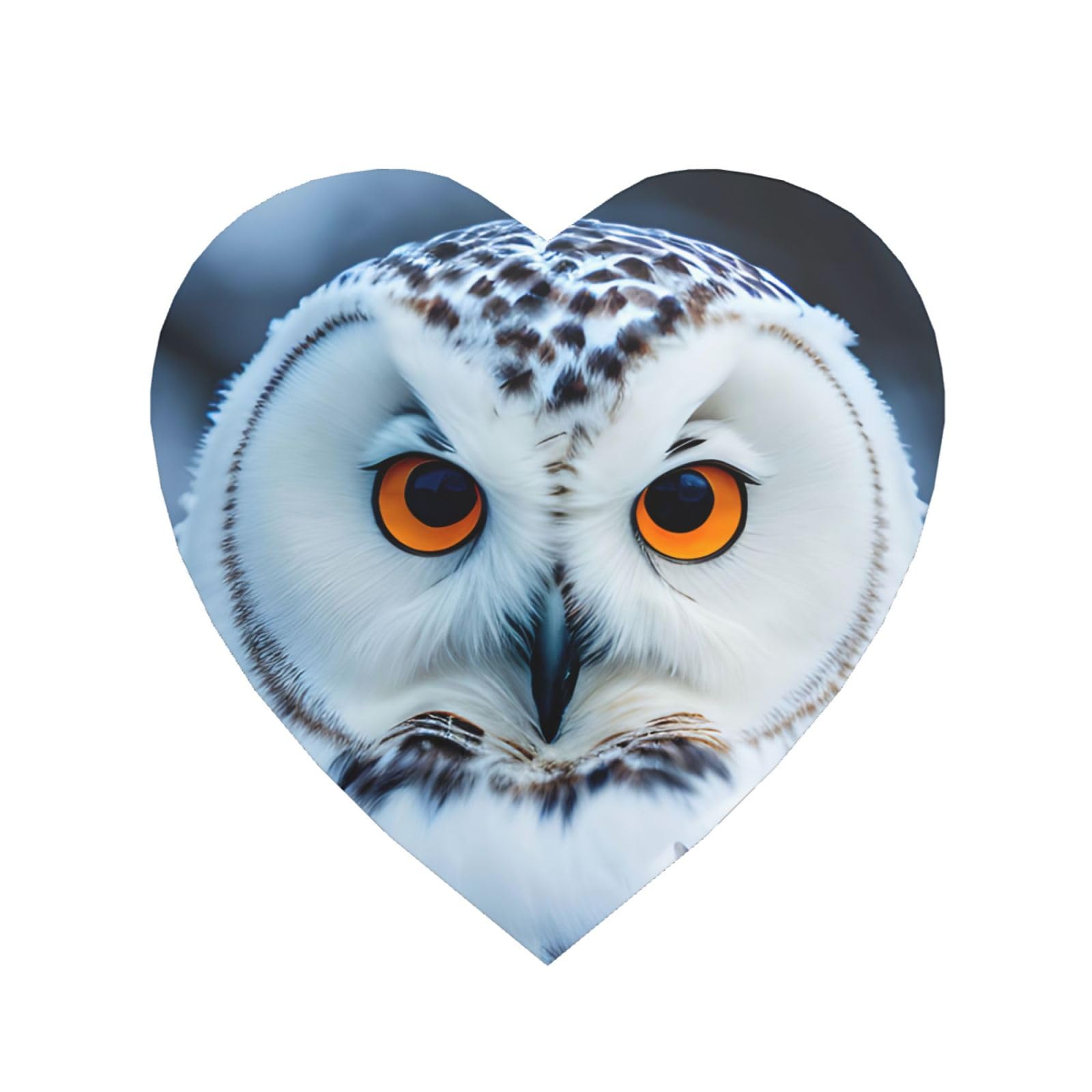 Xtygety Heart Shape Snowy Owl Eyes Print Strong Refrigerator Magnets Decor Fridge Magnets,For Kitchen Whiteboard Office Locker