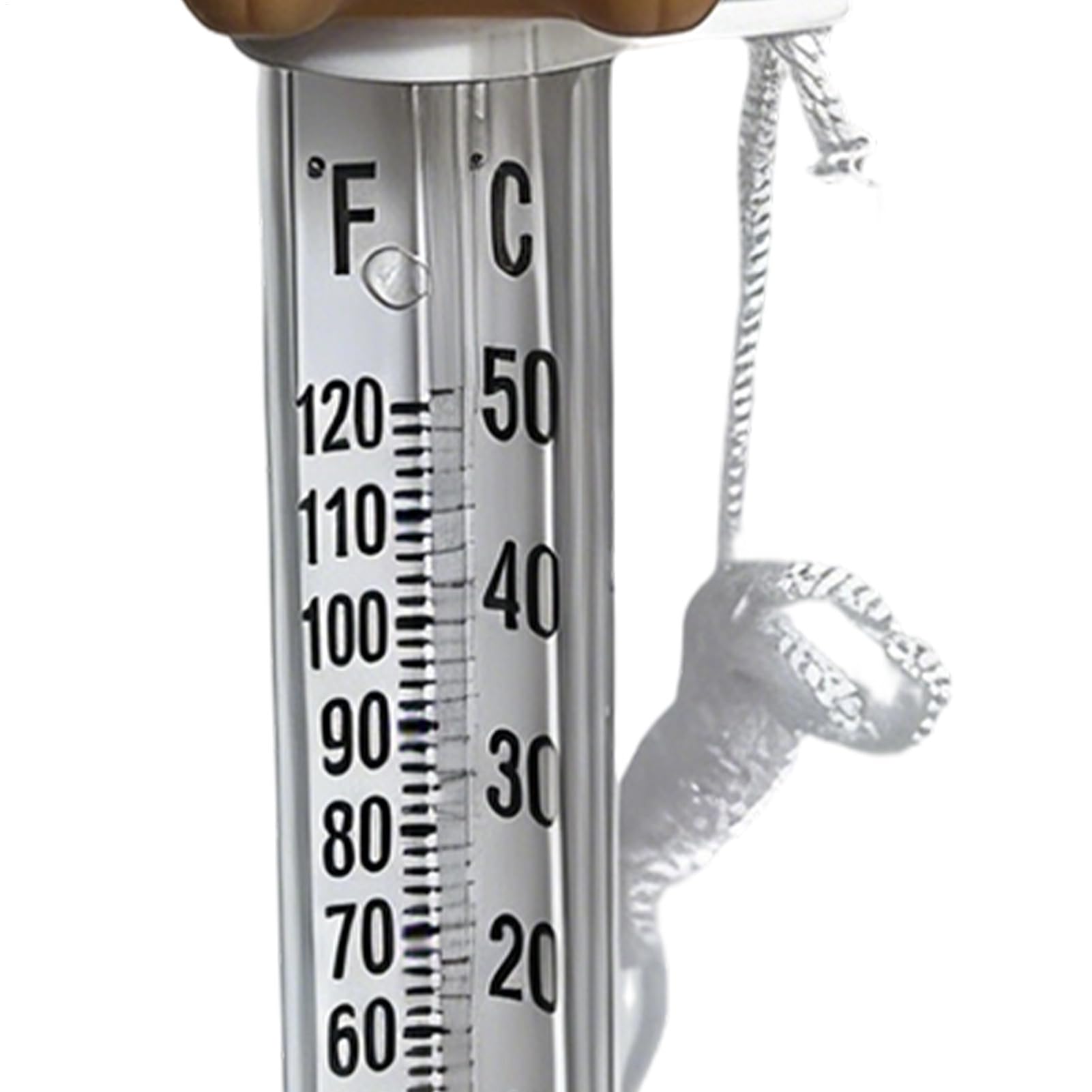 Schwimmende Poolthermometer Seetemperaturmonitor mit Capybara-Design