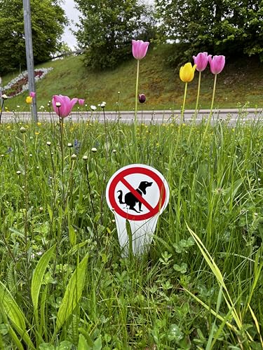 STROBO 2 Stück 'Kein Hundeklo'-Steckschild | Stabiles 3mm Aluminiumverbund als 30x15cm Steckschild mit UV-Schutz für den Außenbereich