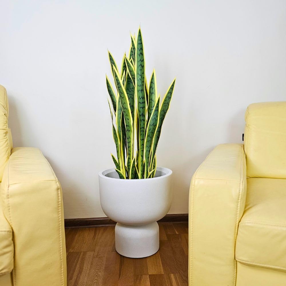 Donica ogrodowa Kielich doniczka do salonu i na taras, z polietylenu, odporna na warunki atmosferyczne, nowoczesny design, na ozdobnej nóżce (kremowy, 41x30)