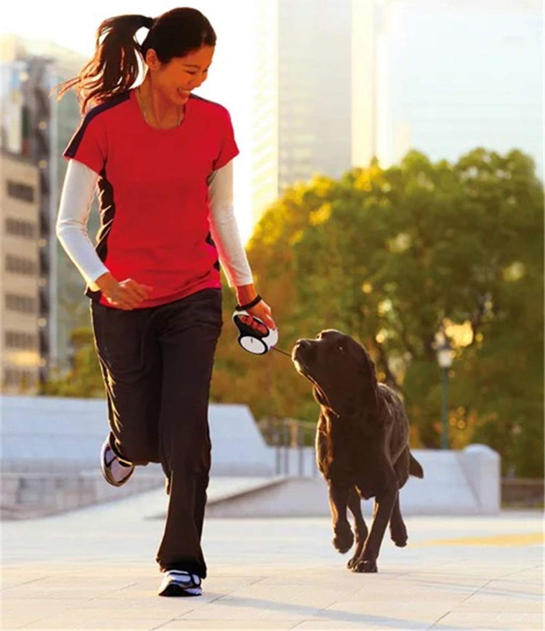 Chien Escamotable Extra-Robuste pour Petits et Moyens Chiens Système de Verrouillage de Frein Enchevêtrement a 360 °Laisse de 5 M pour Promener Son Chien