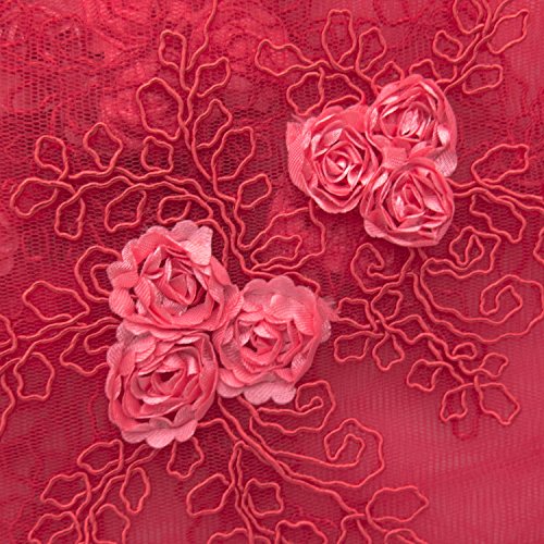 Corsage Lace Embroidered Roses On Mesh 54 Inch Wide Fabric By The Yard (F.e. (Red) #TOP1