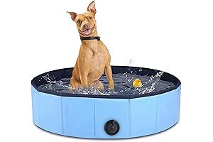 Foldable Dog Pool: The Perfect Summer Treat for Your Furry Friend