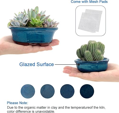 Miniatura 4 de Maceta Bonsái para suculentas, pequeñas macetas esmaltadas, paquete económico de 2 + 4 pantallas de drenaje de malla suave