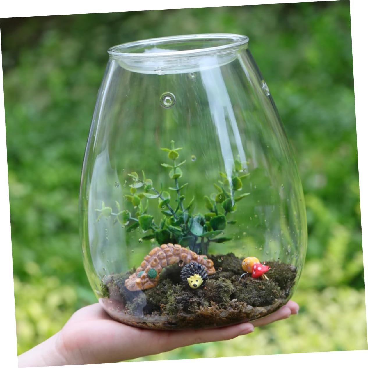 Landscape Glass Bottle for Plants Creative Terrarium Vase Glass Planter for Home Office and Garden Decor for and Flower Display