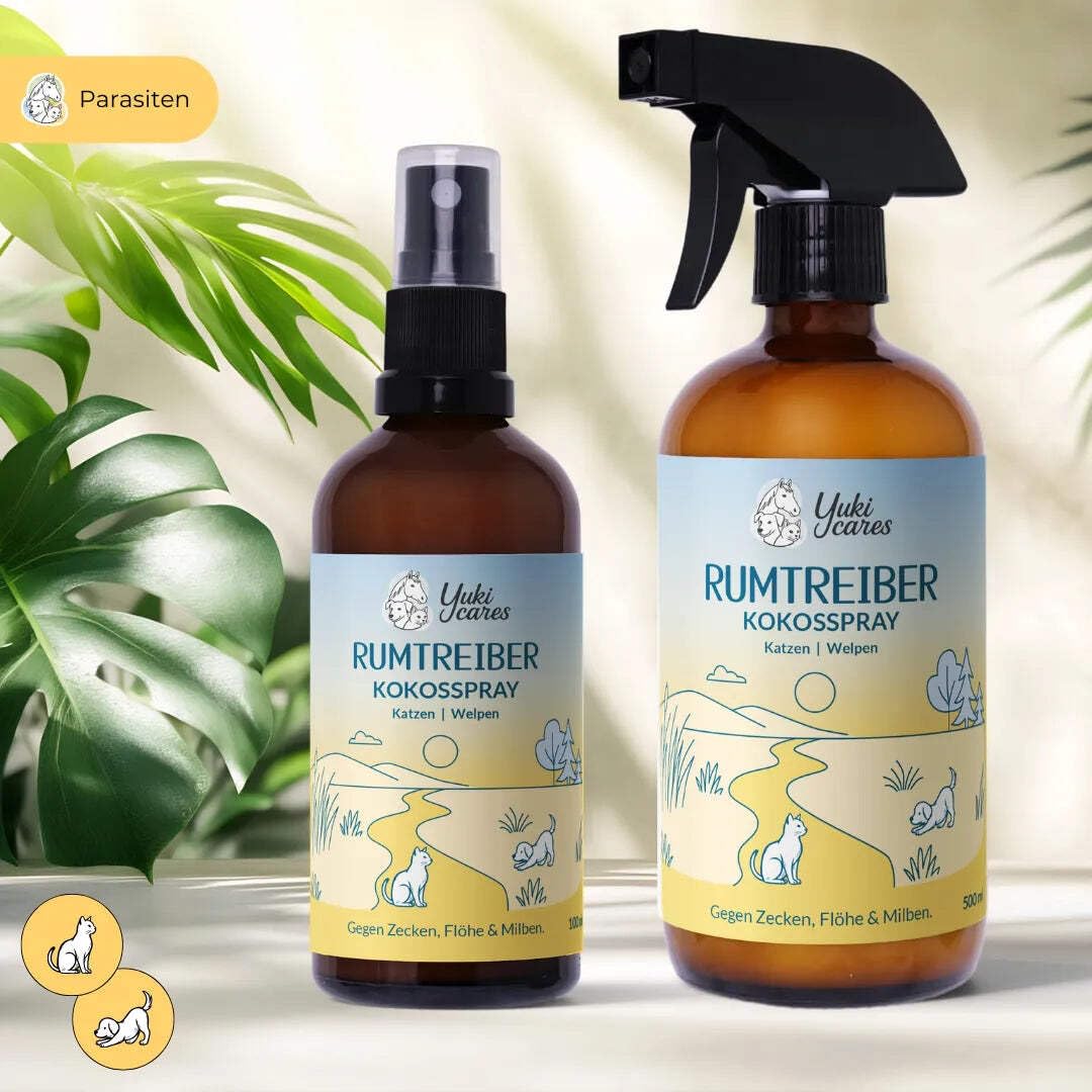 Kokosspray Rumtreiber - natürlicher Zeckenschutz für Katzen und Hundewelpen 500ml