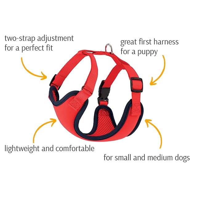 Foto 5 de 5 de Dingo 15863 - Arnés para perros (ajustable, talla S, 28-40 cm, ancho: 30-38 cm), color azul oscuro