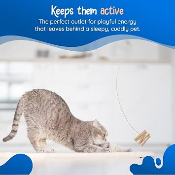 Cat Dancer 101 Cat Dancer Interactive Cat Toy