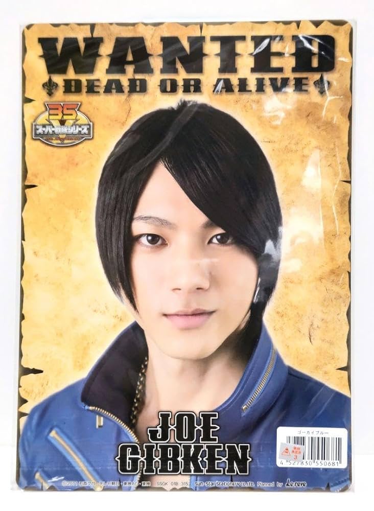 Amazon.co.jp: ゴーカイジャー シートコレクション ゴーカイ