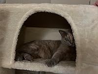 Review Image by genevieve genevieve