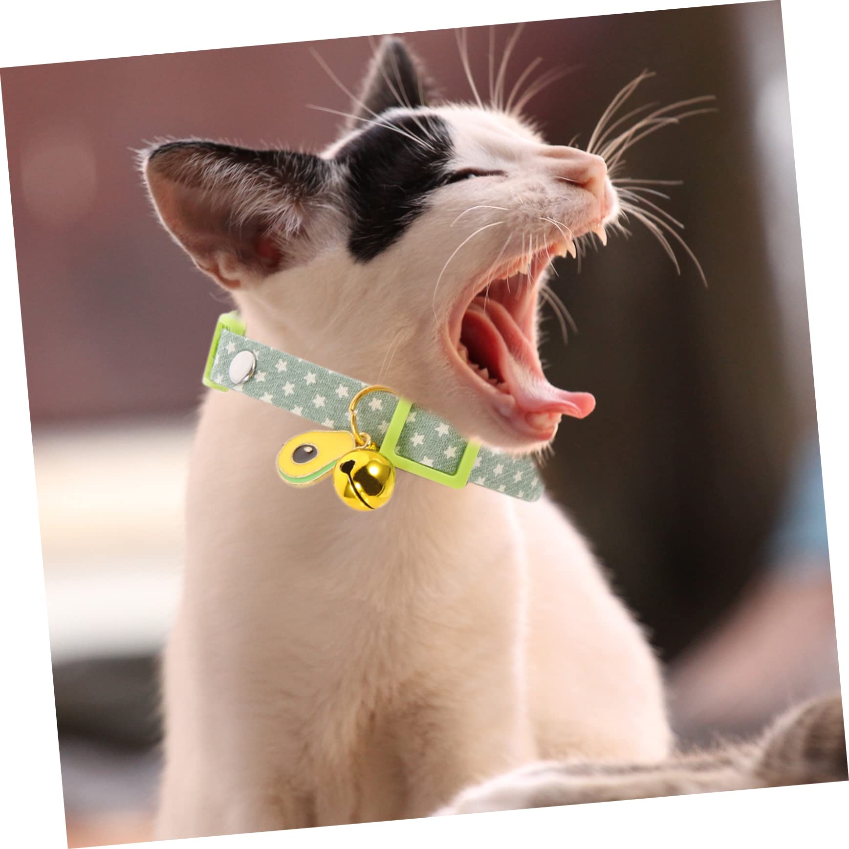 Happyyami 15pièces Collier pour Chat Ajustable avec Pendentif Avocat De Colliers Doux pour Animaux Avocat Œuf Plat Patte De Chat Bleue
