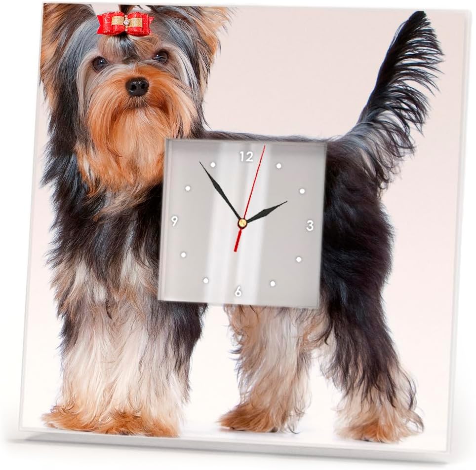 Relojes