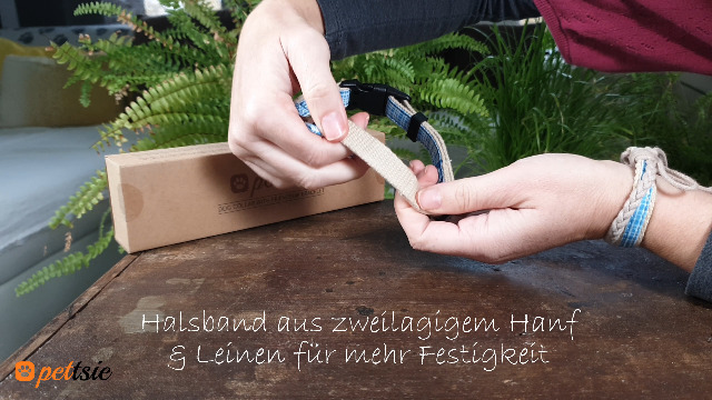 Pettsie Hundehalsband mit Fliege und Freundschaftsarmband, GröÃen S und M, Komfortables Designer Hanf, stark und langlebig, tolles Geschenk für Hundeliebhaber in attraktiven Verpackung, M, Blau – Bild 8