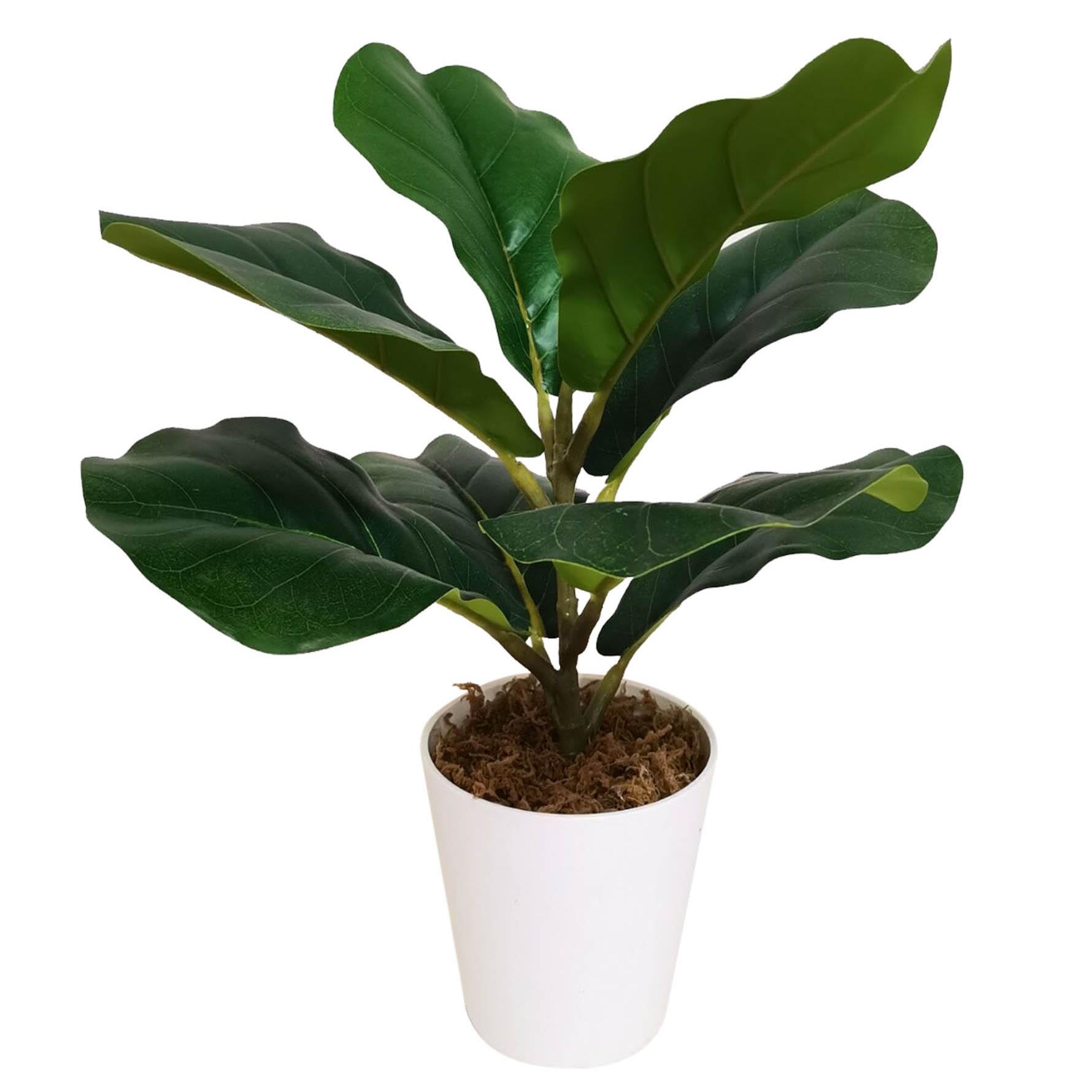 Leaf Realistic Artificial Potted Foliage Plants, 38cm Fiddle Fig