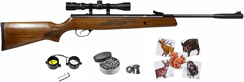 Hatsan Mod 95 Vortex Combo rifle de aire con Wearable4U 100x objetivos de papel y pellets