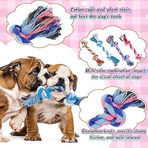 12 Pcs Rope Dog Toys Multi Color Puppy Rope Toy Cotton Puppy Toys Dog Chew Rope Puppy Teething Toys for Small and Medium Dogs Puppies 12 Pcs Rope Dog Toys Multi Color Puppy Rope Toy Cotton Puppy Toys Dog Chew Rope Puppy Teething Toys for Small and Medium Dogs Puppies