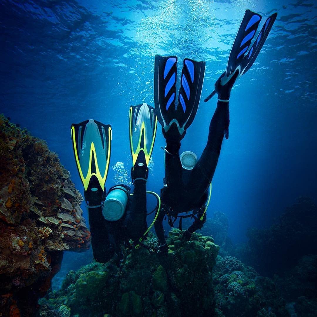 男女兼用 TUSA X-PERT ZOOM スクーバフィン - 通販 - ns1.psht.or.id