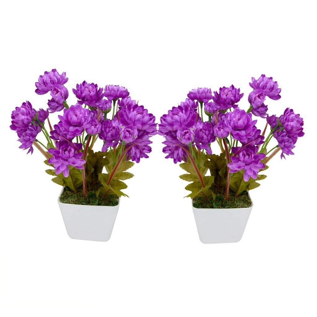 VIMAL White Polypropylene Plant Pots - Durable & Modern -2